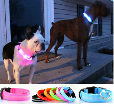 HondVeilig Pro - LED Collar for Dogs - Feel Safe and Stylish While Walking