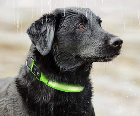 HondVeilig Pro - LED Collar for Dogs - Feel Safe and Stylish While Walking