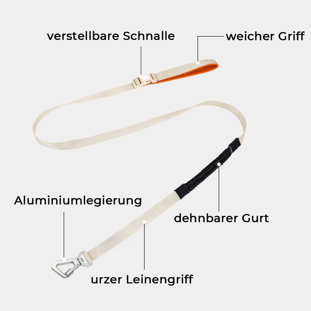 Anti-Pull Dog Harness with Multifunctional Lead - AquaCool