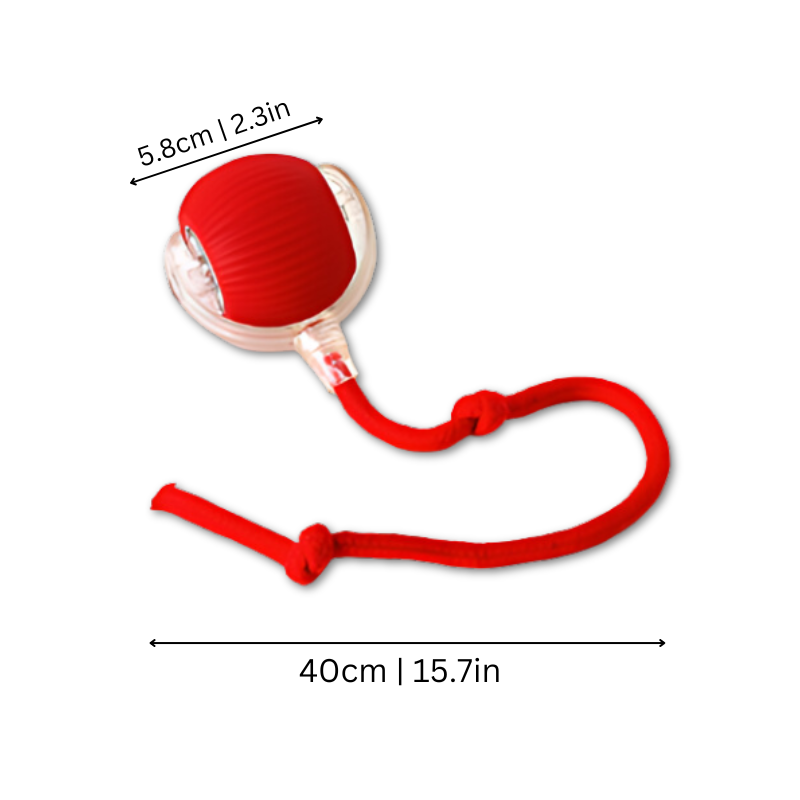 Cat Play Ball - Active Play Experience for Your Cat