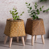 AristoBloom Raised Plant Pot | Premium Minimalist Scandinavian Planter for Compact Spaces