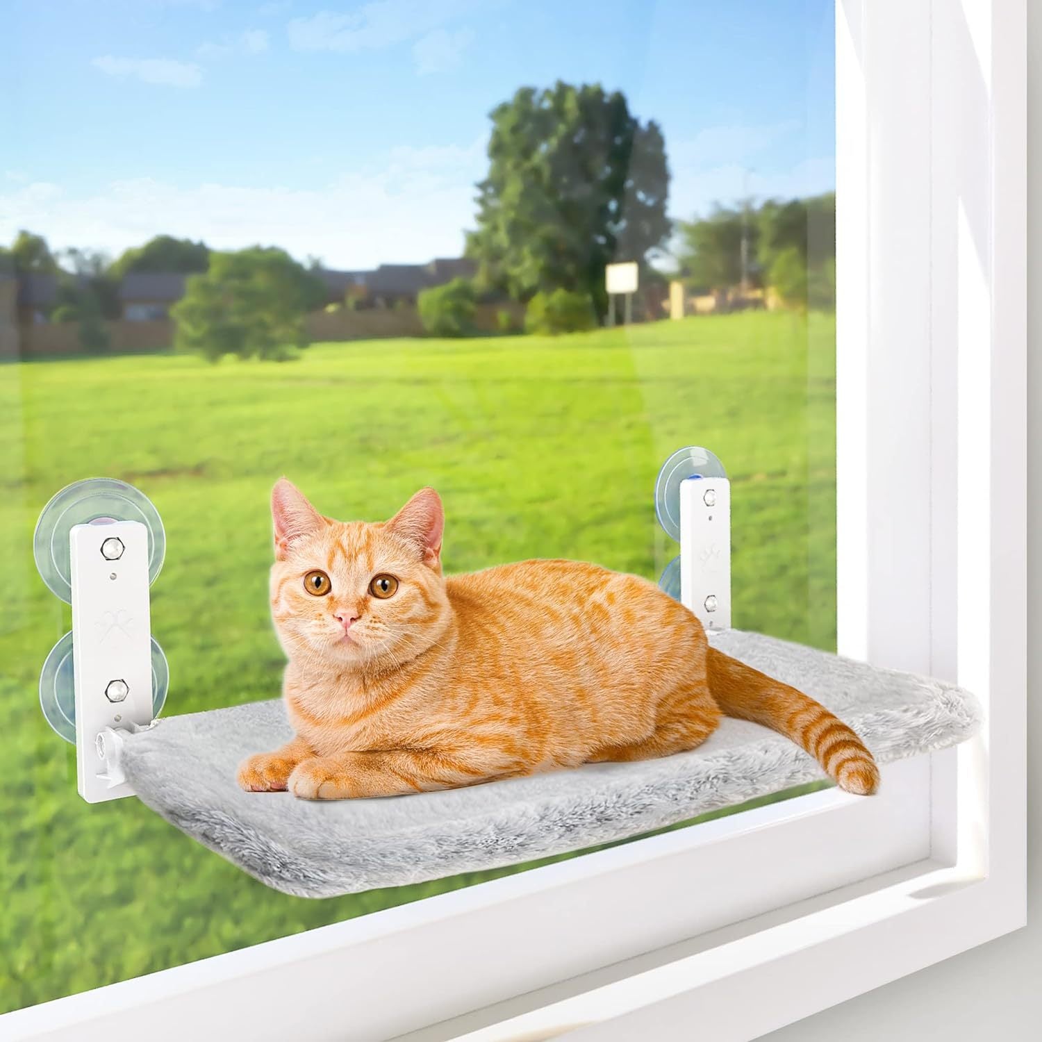 Cat Window Hammock - The Perfect Resting Spot for Your Cat