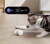 The Ultimate Chew Toy for Cats – WhiskerPlay