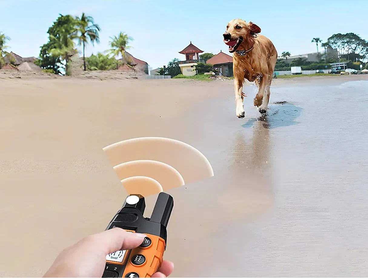 ProCanine 1000m Training Collar | Dog Training | Waterproof E-Collar with Remote Control