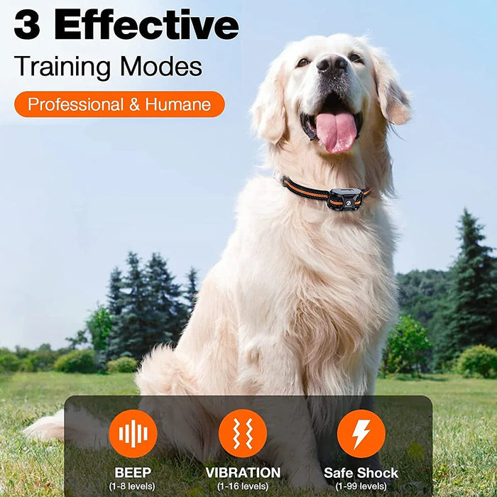 TrainPro Collar - For Maximum Control and Effective Training