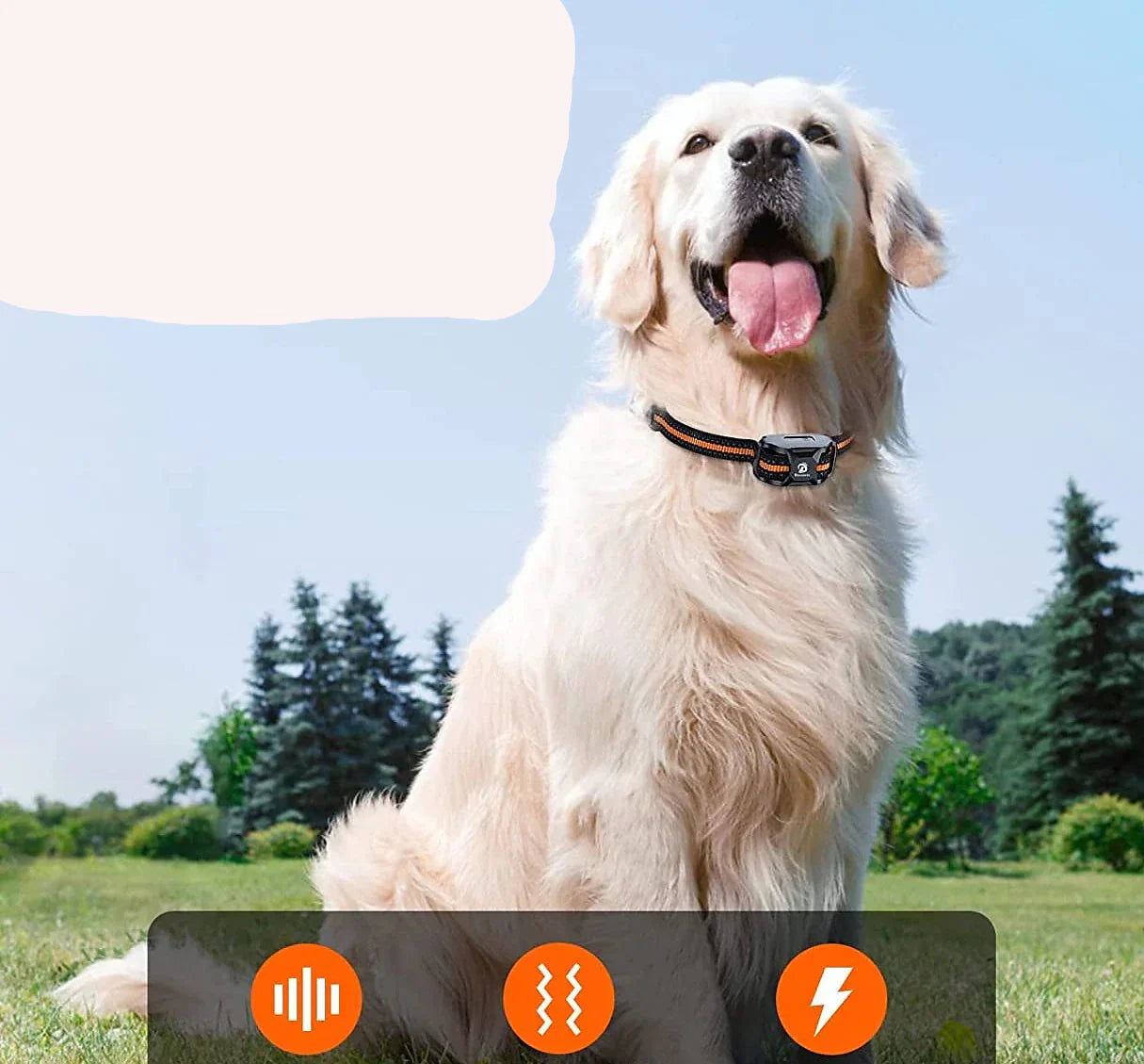 ProCanine 1000m Training Collar | Dog Training | Waterproof E-Collar with Remote Control