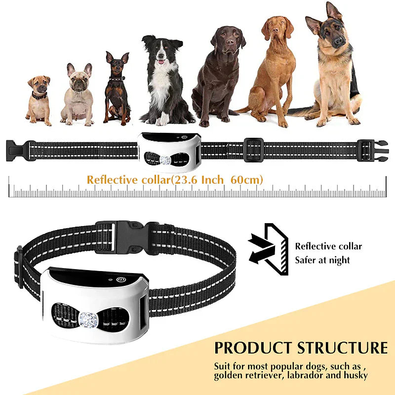 PawPal Wireless Dog Collar - Freedom and Safety for Your Dog