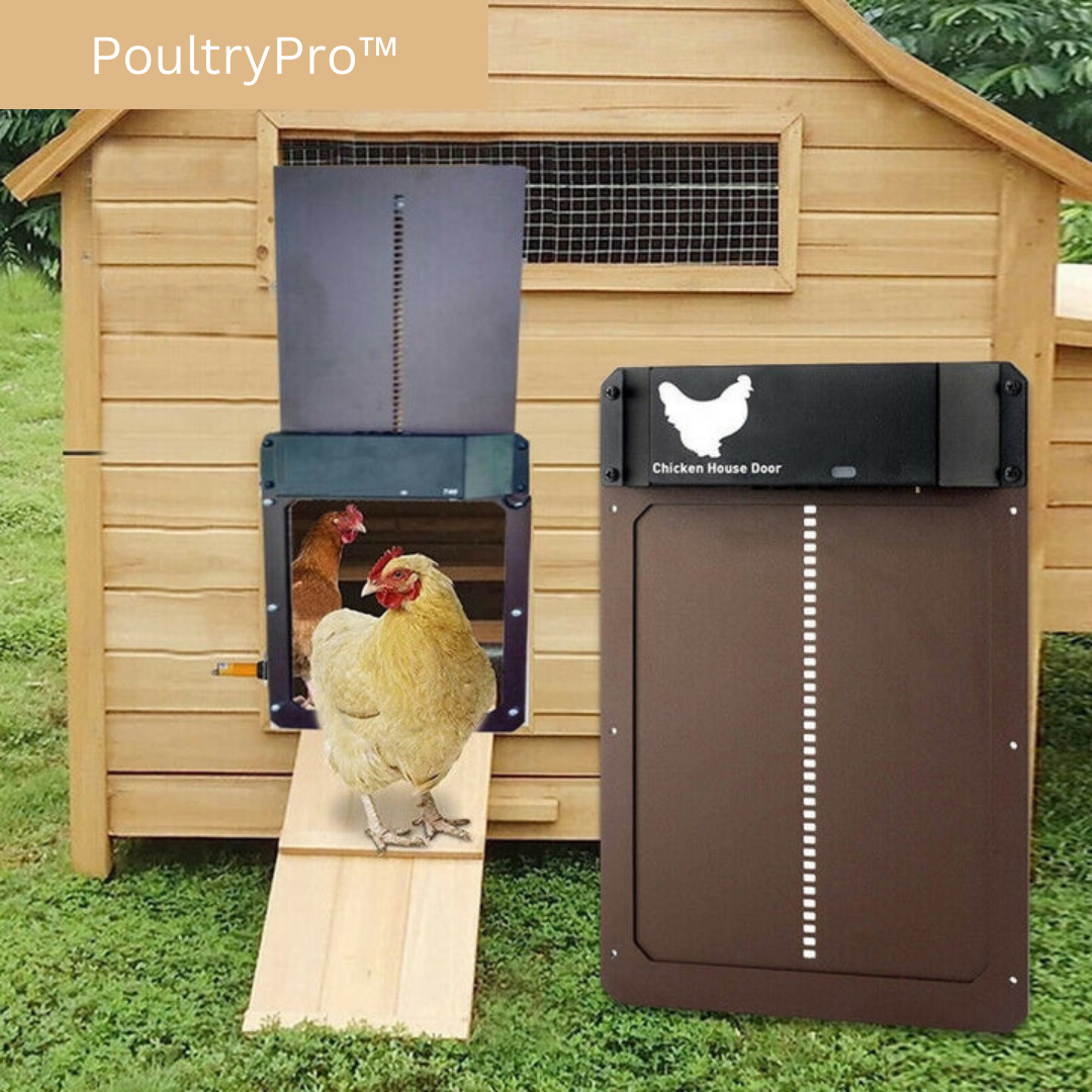 PoultryGuard Luxe Automatic Door | Smart light-controlled door for safe and secure chicken