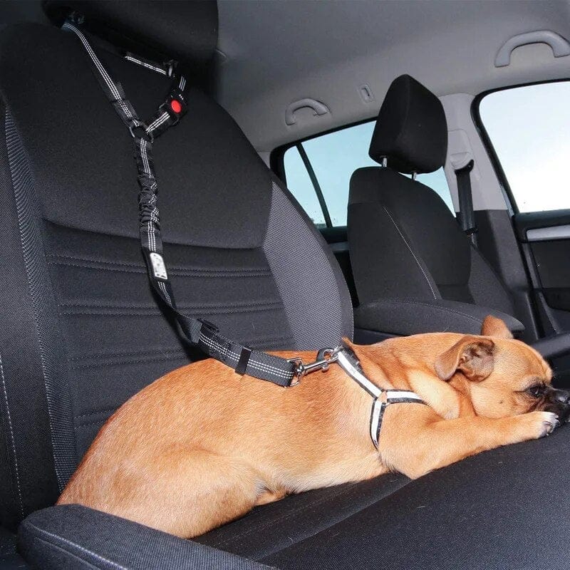 PetSafe - Adjustable Dog Seatbelt