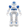 SmartCompanion Interactive Robot | Multilingual, gesture-responsive tech for kids and families