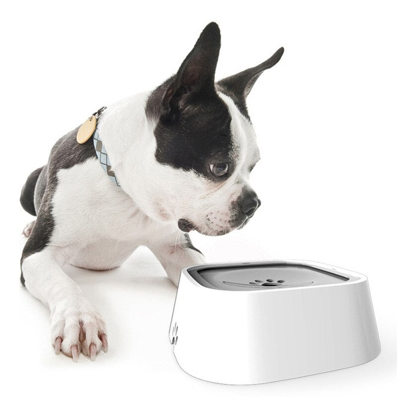 PawsFlow Water Fountain - For a Clean Drinking Experience for Your Dog