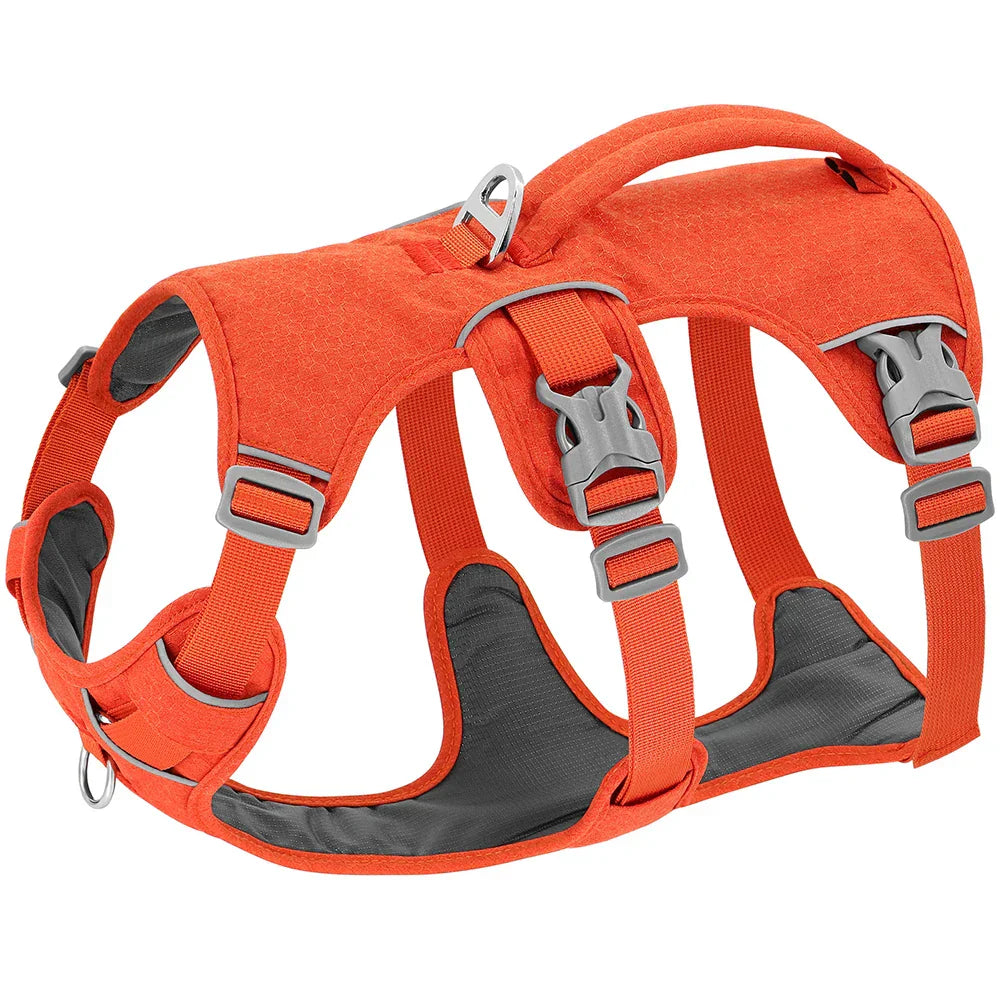 NobleWalk Dog Safety Harness | Adjustable and breathable dog harness with reflective stitching