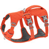 NobleWalk Dog Safety Harness | Adjustable and breathable dog harness with reflective stitching