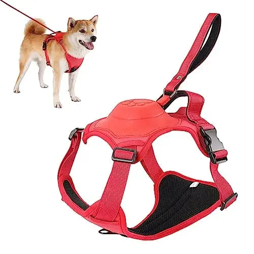 RoyalStride Supreme Leash & Harness | Effortless control and comfort for every pet walk