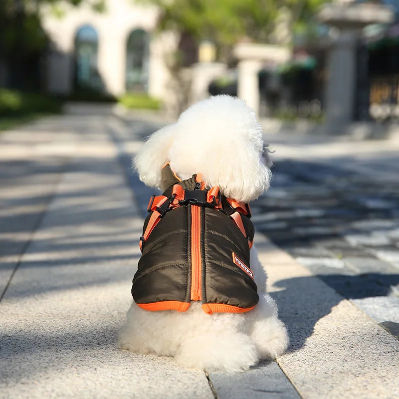 VivaPet Winter Coat | Waterproof dog coat with harness for chihuahuas, Yorkies and other small dogs
