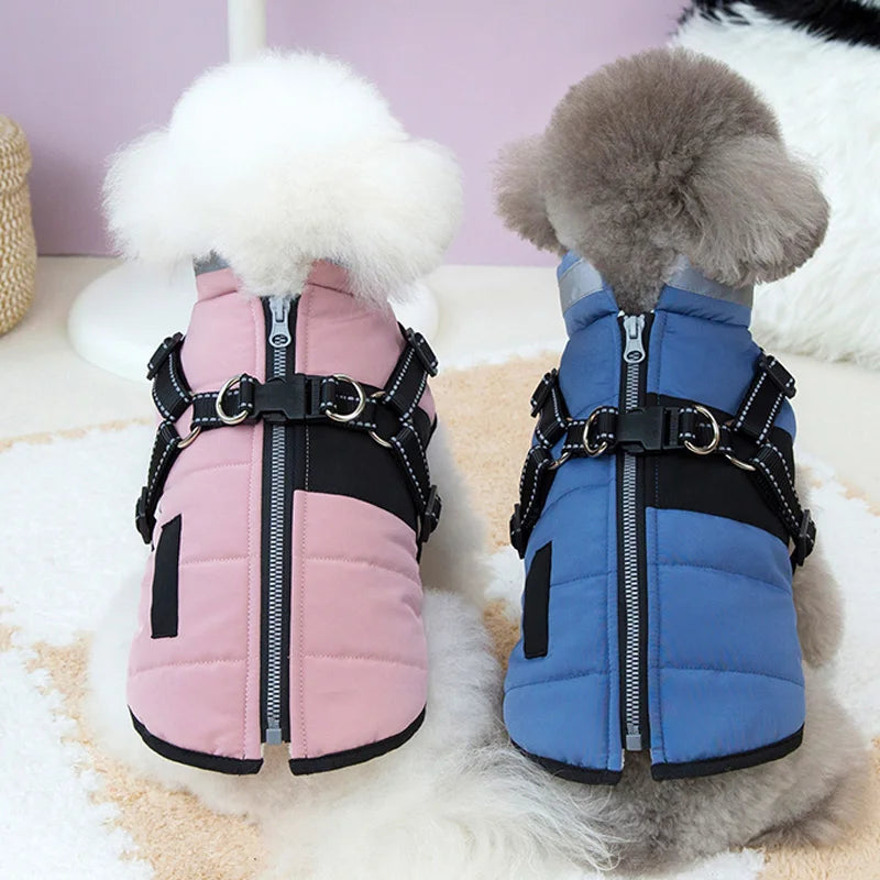 LuxePaws Dog Outfit - Windproof Jacket for Small and Medium Dogs