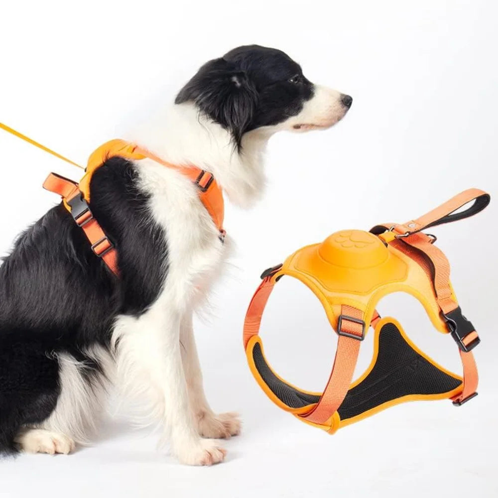 RoyalStride Supreme Leash & Harness | Effortless control and comfort for every pet walk