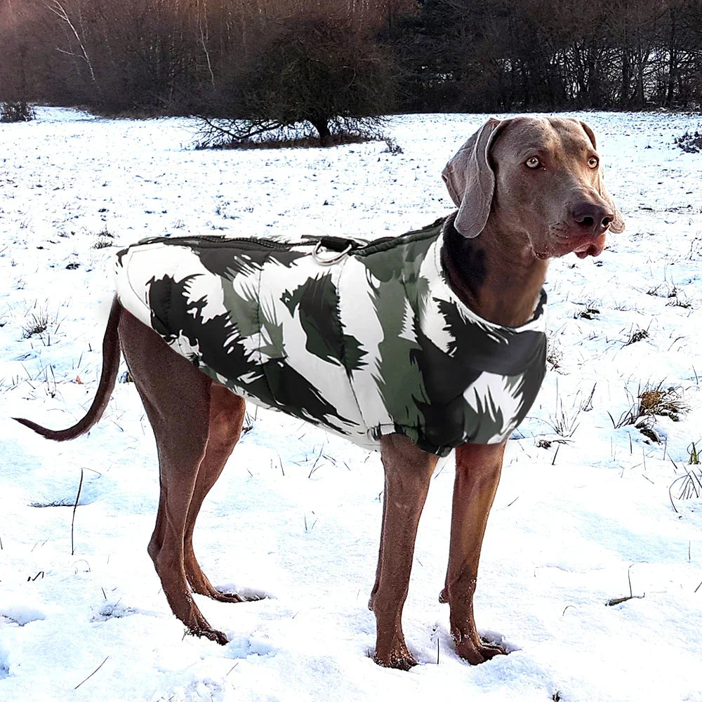 PawElite Winter Coat - Stylish Coat for Dogs