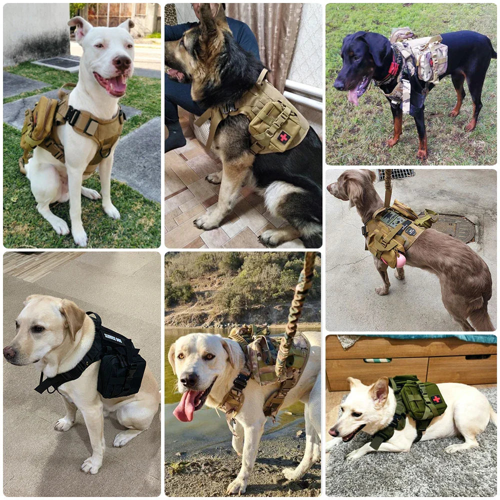 TacticalElite K9 Harness and Lead Set - Military-Style Harness for Large Dogs with Training Lead