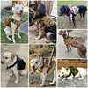 TacticalElite K9 Harness and Lead Set - Military-Style Harness for Large Dogs with Training Lead