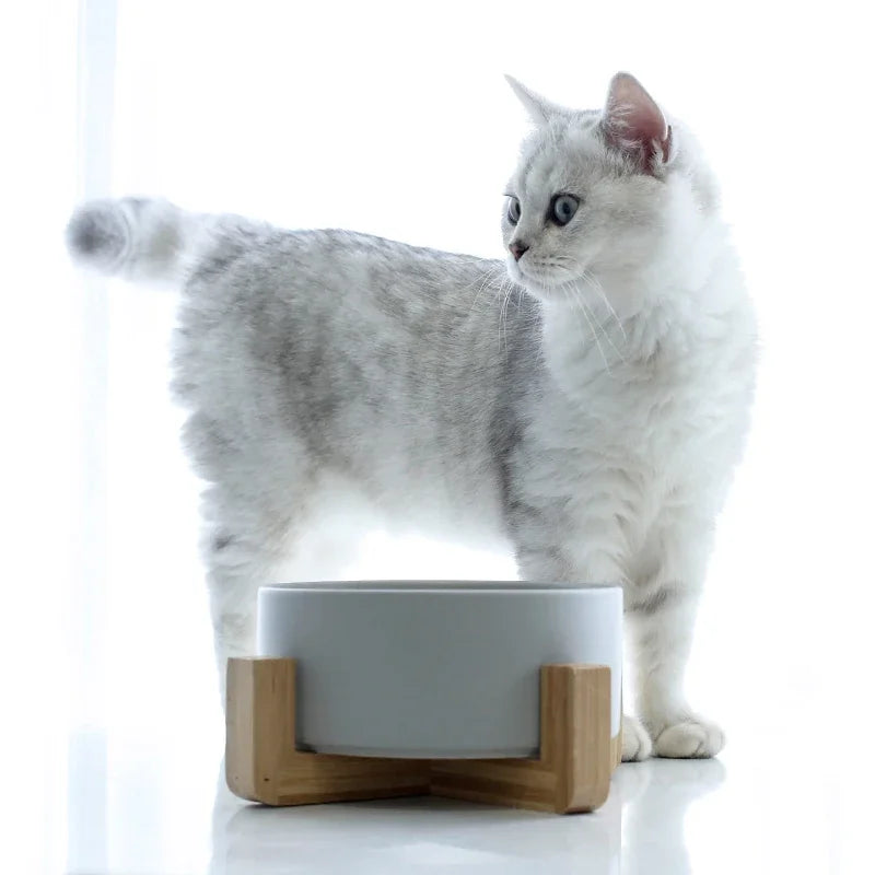 Ceramic Feeding Bowl - Set of 2