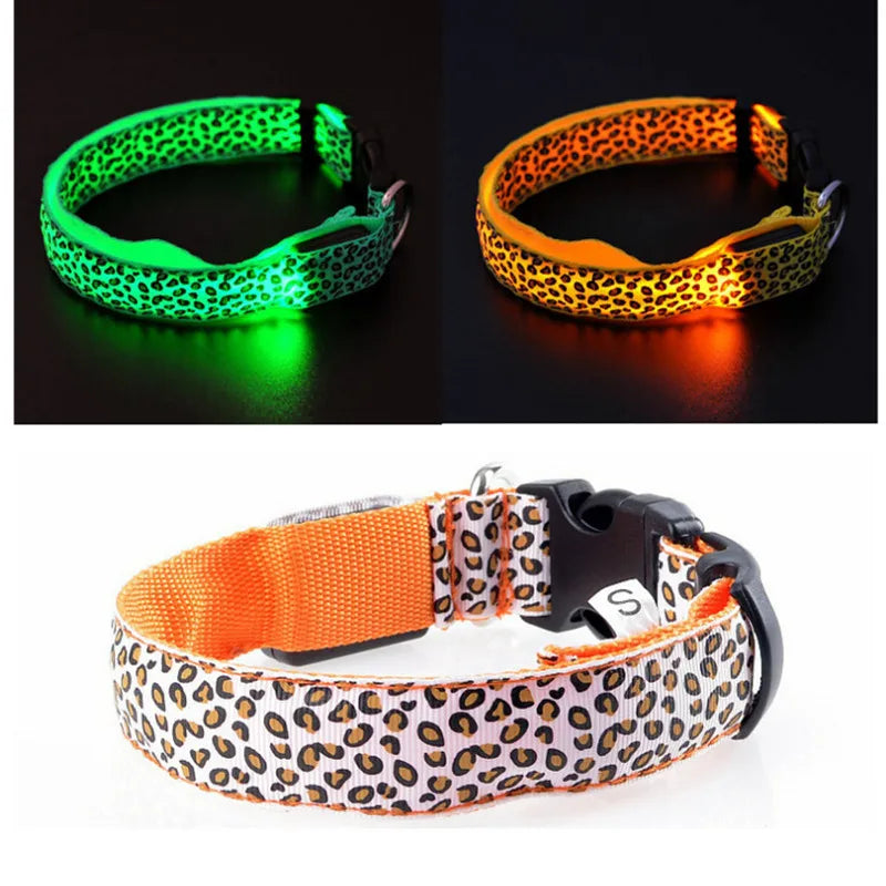 NightGlow LED Dog Collar | Walk safely and be seen with this luminous dog collar