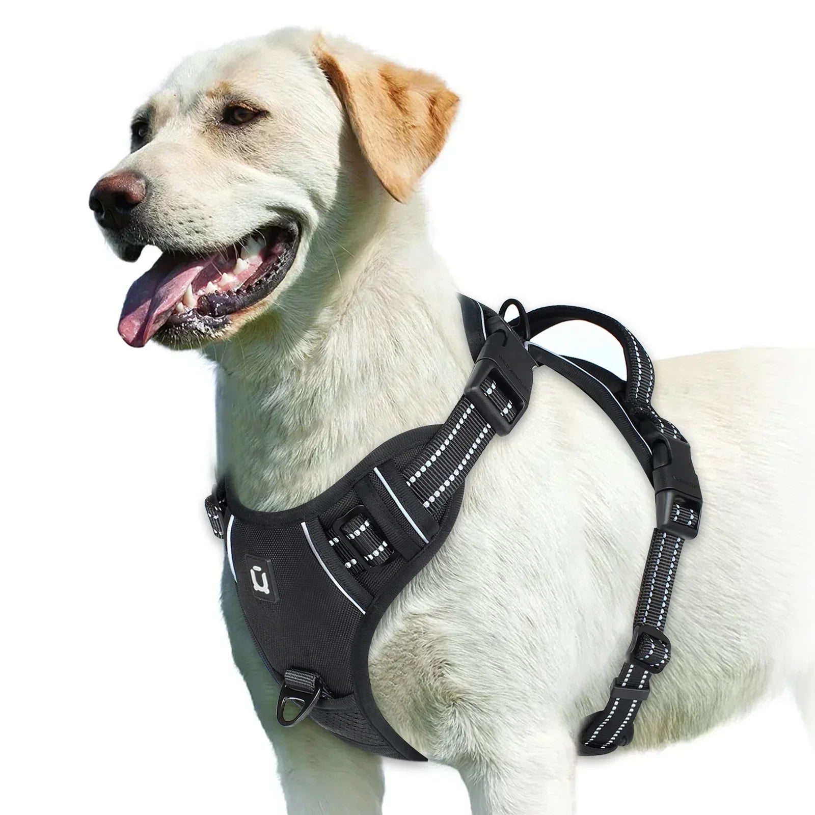 Adjustable No-Pull Dog Harness - Effective and Comfortable