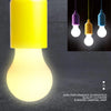 Colourful Portable Hanging Light - ChromaGlow
