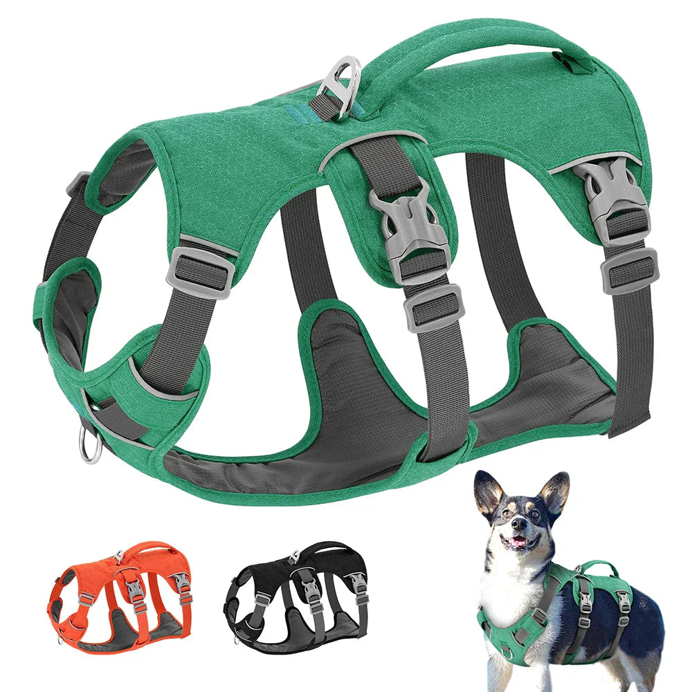 NobleWalk Dog Safety Harness | Adjustable and breathable dog harness with reflective stitching