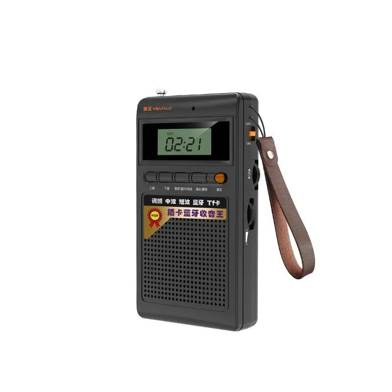 Portable Bluetooth Radio and MP3 Player - SoundPocket Mini