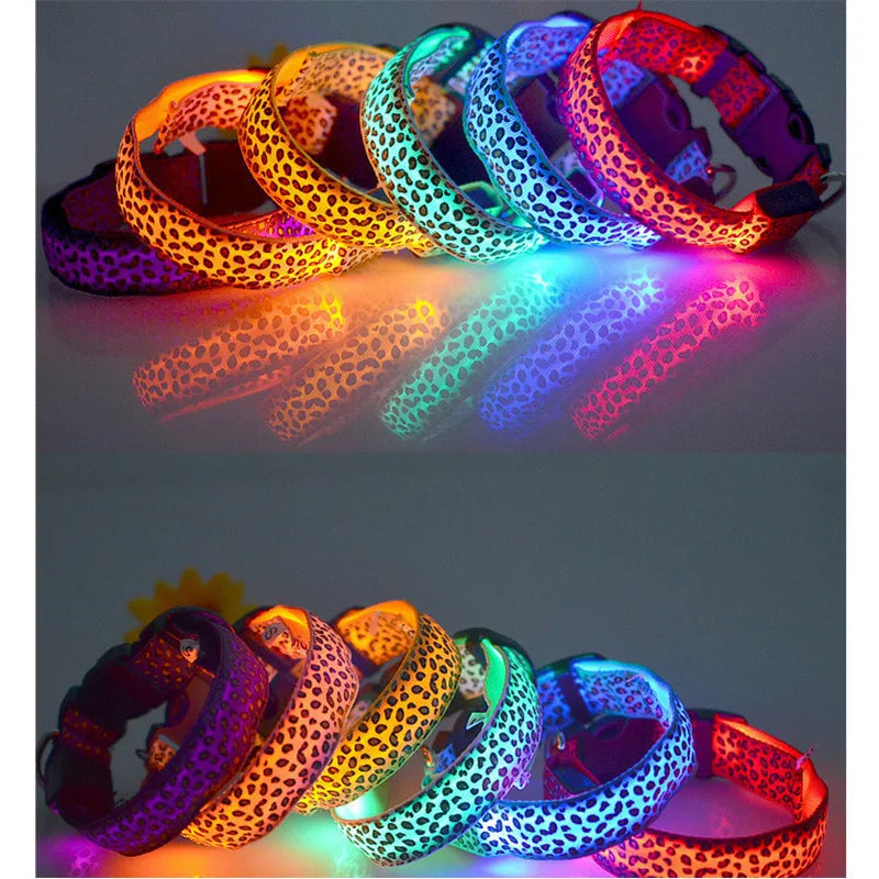 NightGlow LED Dog Collar | Walk safely and be seen with this luminous dog collar