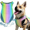 PawLux Ultra-Cool Dog Vest | Breathable Cooling and UV Protection for Hot Weather