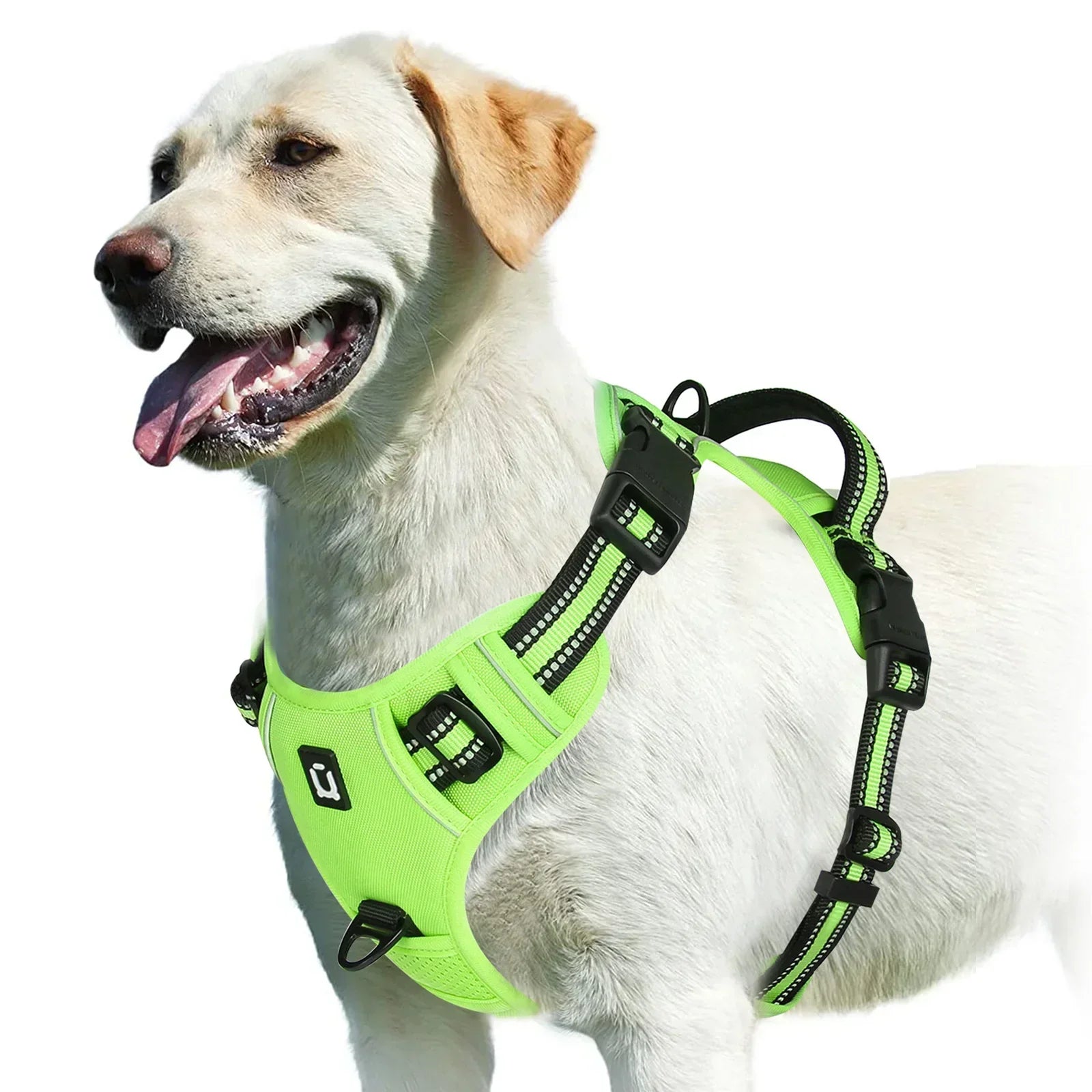 Adjustable No-Pull Dog Harness - Effective and Comfortable