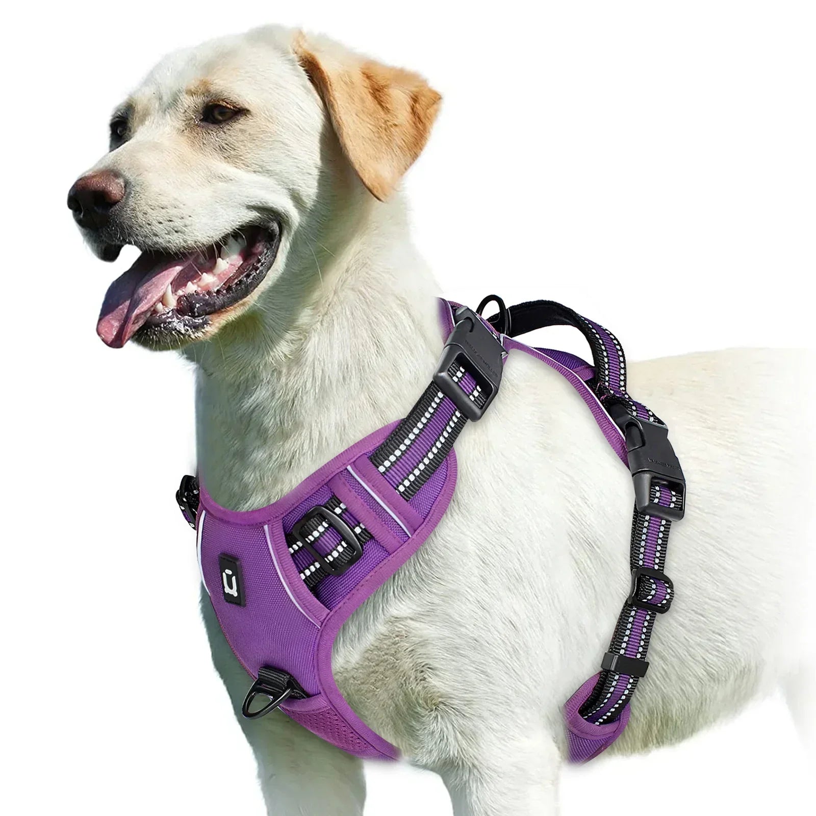Adjustable No-Pull Dog Harness - Effective and Comfortable