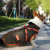 VivaPet Winter Coat | Waterproof dog coat with harness for chihuahuas, Yorkies and other small dogs