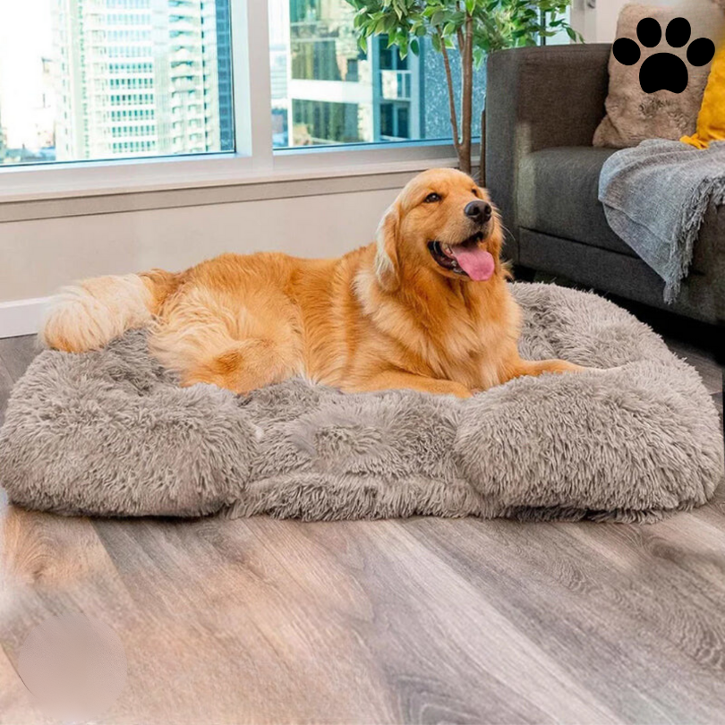 Calming Dog Bed with Memory Foam - Charlie