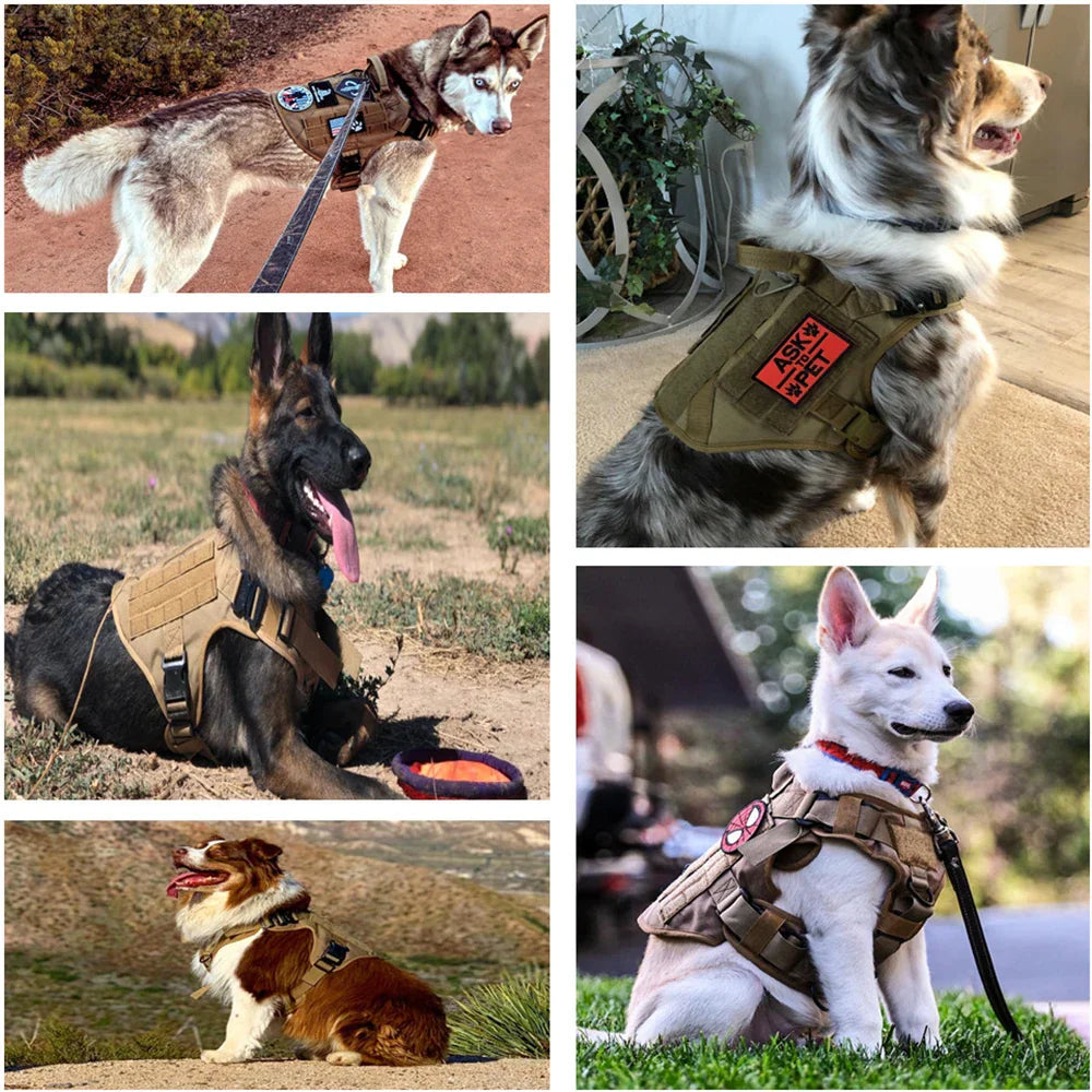 TacticalElite K9 Harness and Lead Set - Military-Style Harness for Large Dogs with Training Lead