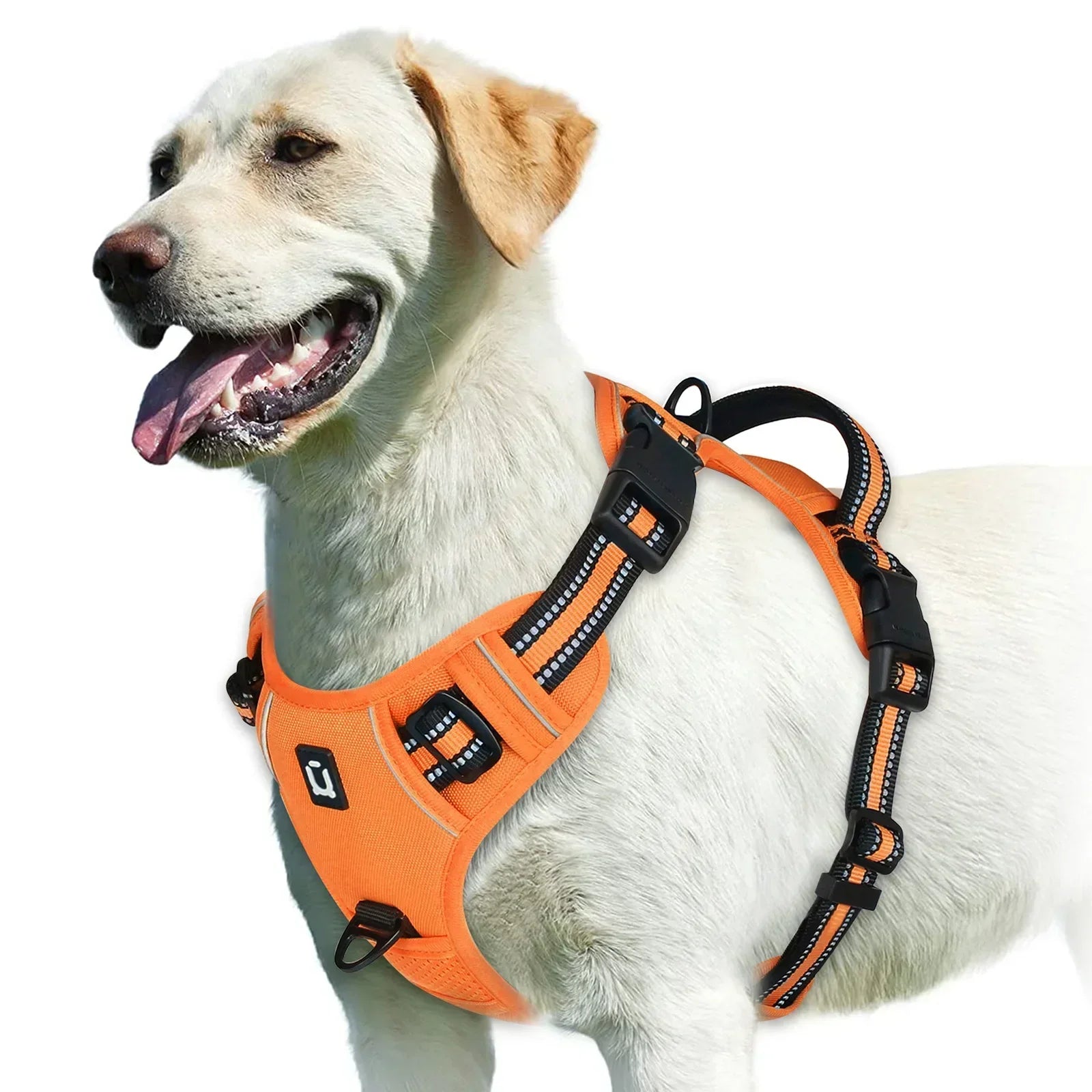 Adjustable No-Pull Dog Harness - Effective and Comfortable
