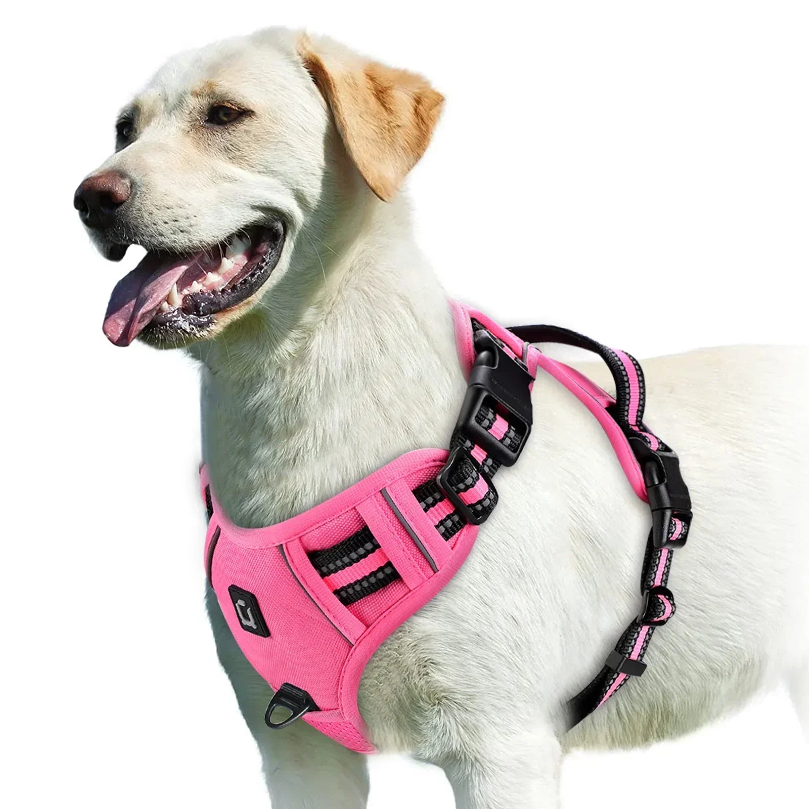 Adjustable No-Pull Dog Harness - Effective and Comfortable