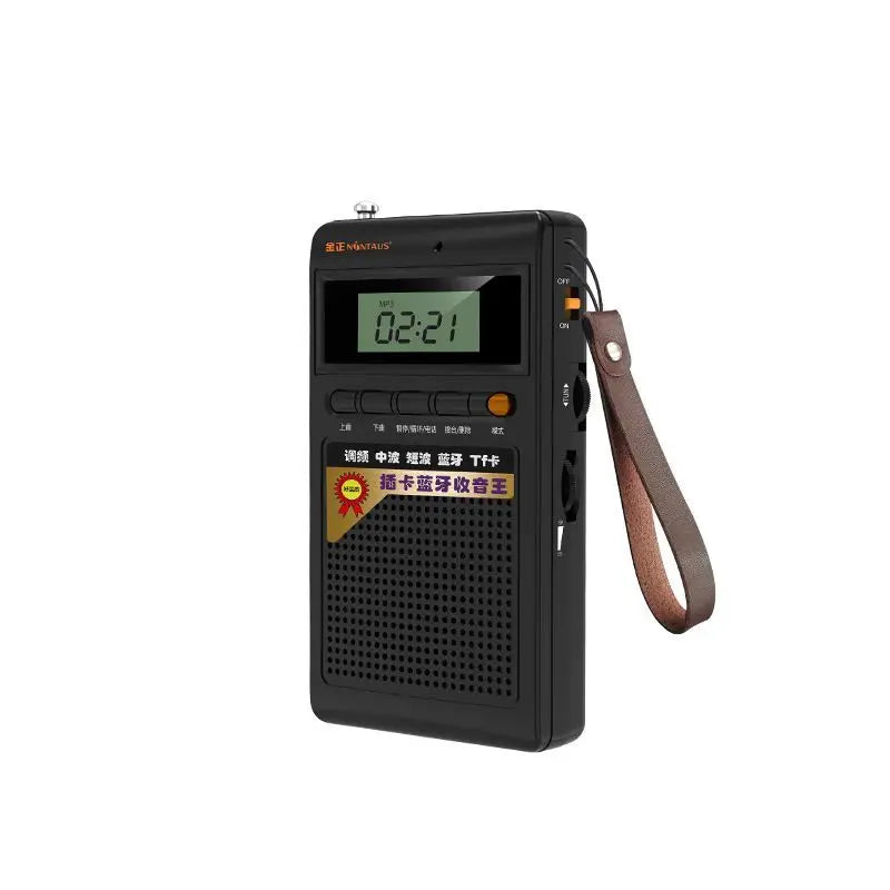Portable Bluetooth Radio and MP3 Player - SoundPocket Mini