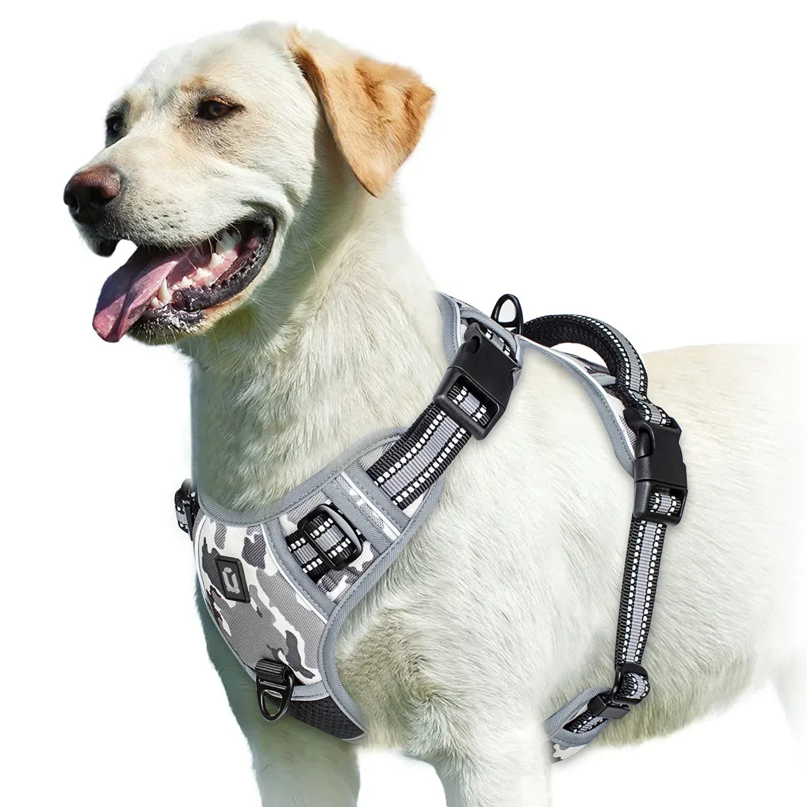 Adjustable No-Pull Dog Harness - Effective and Comfortable