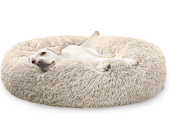 Comfortable Dog Bed for Your Four-Legged Friend - PetPlace