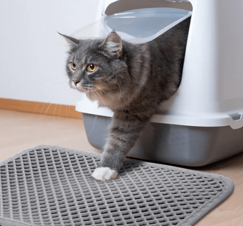 PetPurity Honeycomb Cat Litter Mat