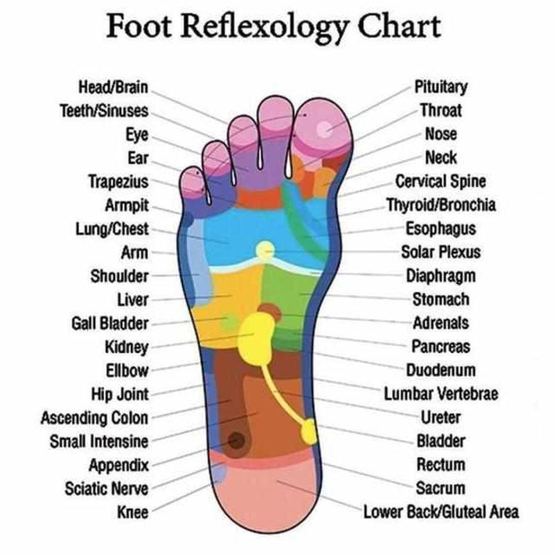 Acupressure Slippers for Summer 2025 – ReFlexSlippers