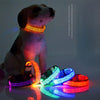 NightGlow LED Dog Collar | Walk safely and be seen with this luminous dog collar
