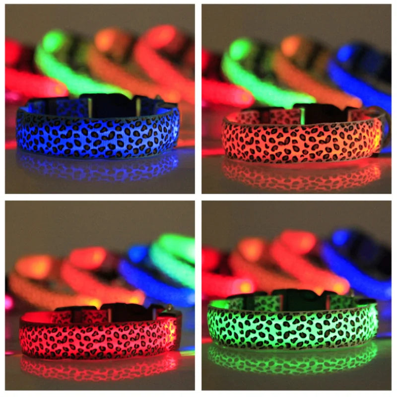 NightGlow LED Dog Collar | Walk safely and be seen with this luminous dog collar