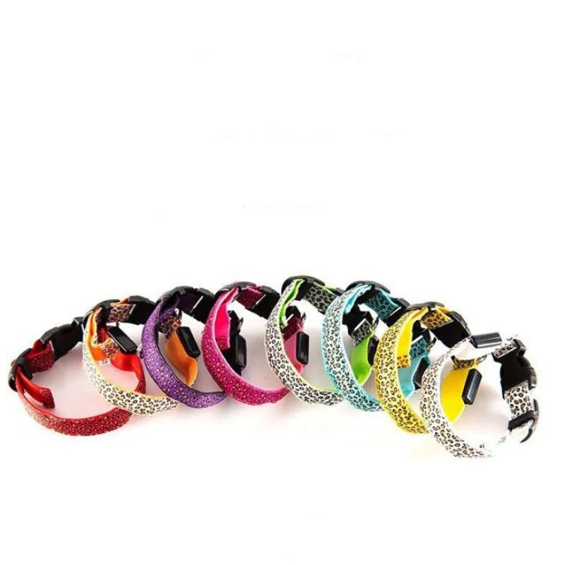NightGlow LED Dog Collar | Walk safely and be seen with this luminous dog collar