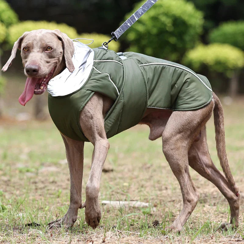 FurShield Winter Dog Jacket - Cotton Coat for Pets