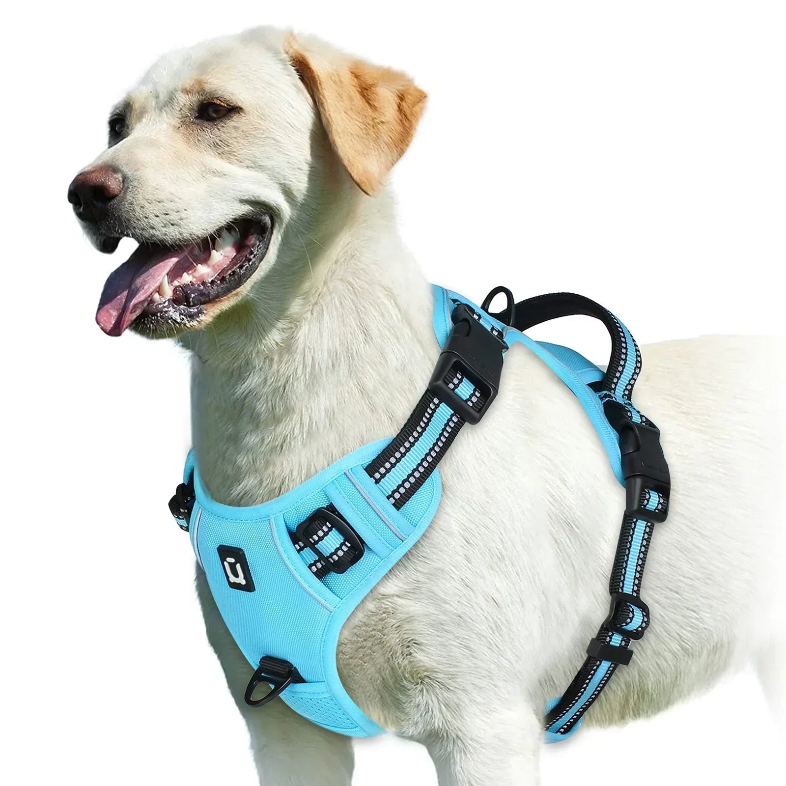 Adjustable No-Pull Dog Harness - Effective and Comfortable
