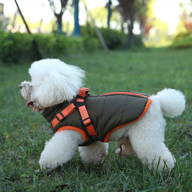 VivaPet Winter Coat | Waterproof dog coat with harness for chihuahuas, Yorkies and other small dogs